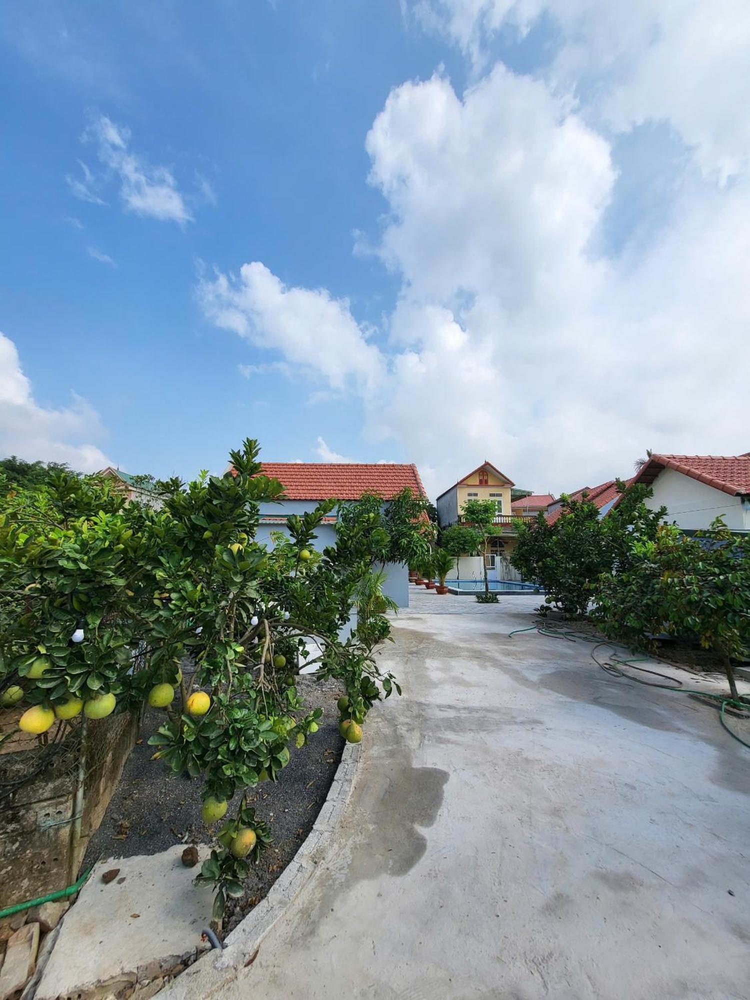 Tam Coc Pomelo Garden Apartment Ninh Binh Exterior photo