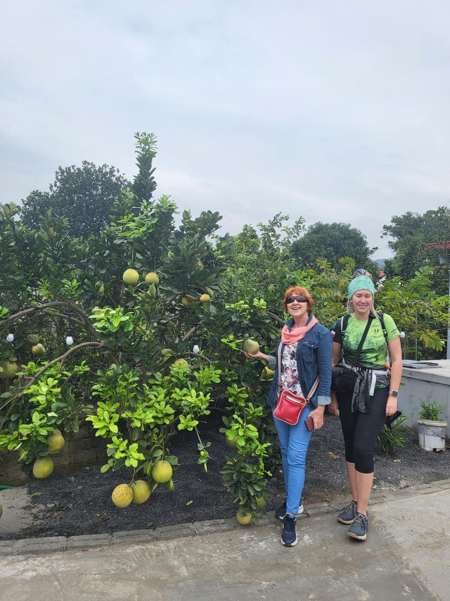 Tam Coc Pomelo Garden Apartment Ninh Binh Exterior photo