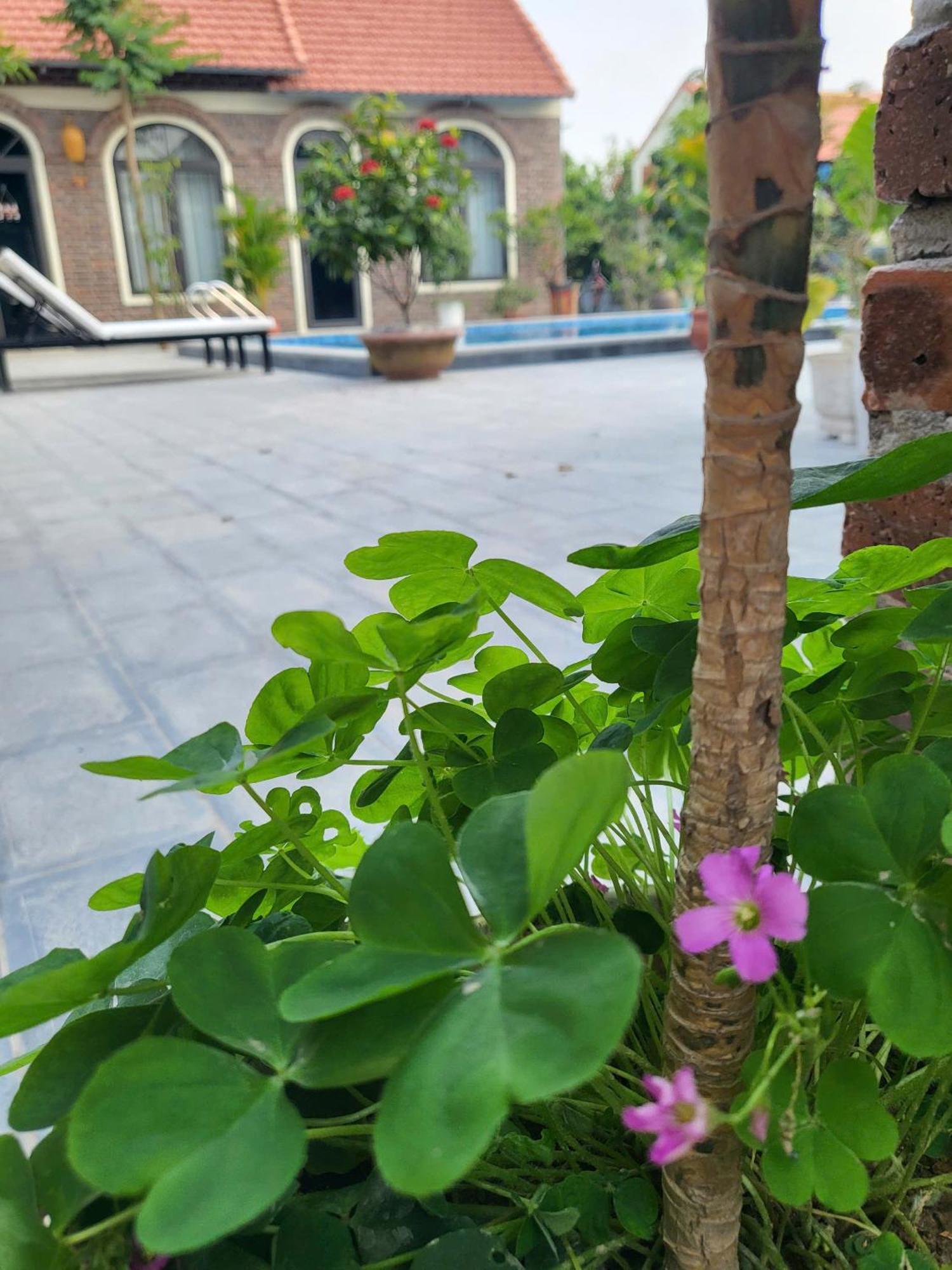 Tam Coc Pomelo Garden Apartment Ninh Binh Exterior photo