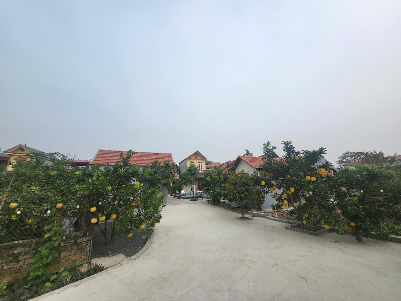 Tam Coc Pomelo Garden Apartment Ninh Binh Exterior photo